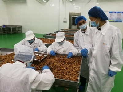 濟南外貿順差創(chuàng)新高 民企主導出口結構優(yōu)化