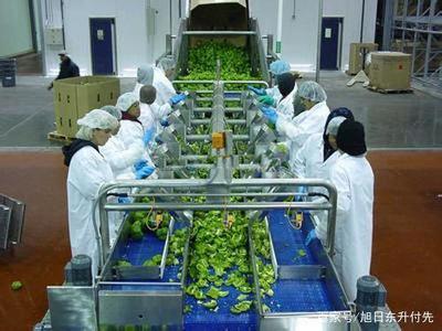 300萬資金在鄉(xiāng)村 初級農(nóng)產(chǎn)品投資項目的策略與機遇