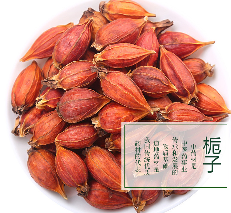 山梔子 傳統(tǒng)中藥材與現(xiàn)代應(yīng)用