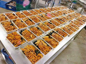 莎家邦速食食品批發(fā) 河北優(yōu)質(zhì)初級農(nóng)產(chǎn)品在線咨詢服務(wù)