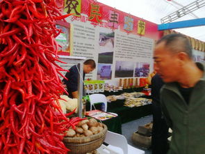 銅川2018扶貧產品交易會 初級農產品精品薈萃，看點亮眼搶先揭秘