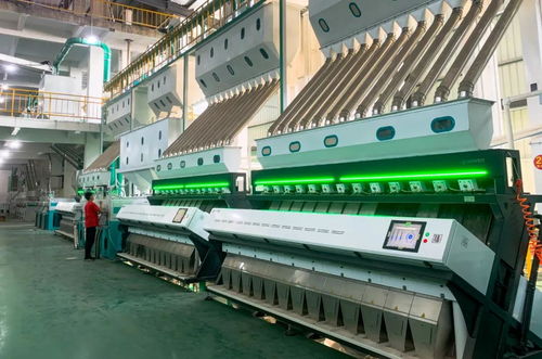 筑牢安全根基 農產(chǎn)品加工企業(yè)掀起初級產(chǎn)品綠色管理新浪潮