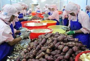 2017年，錯過這些初級農產(chǎn)品好項目，農民朋友們或將后悔